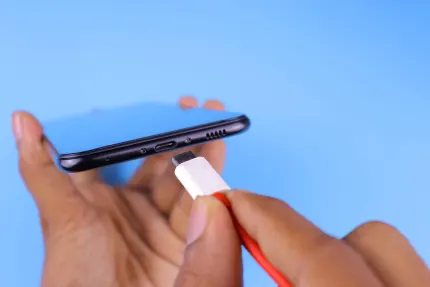 Mobile Wins Casino Mobile App